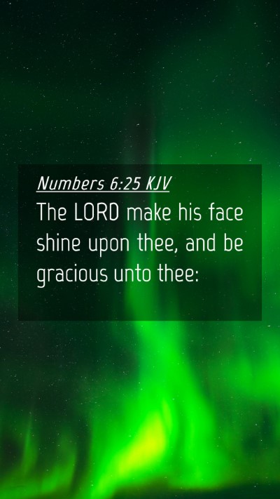 Picture 04 - Numbers 6:25 KJV Mobile Phone Wallpaper - The LORD make his face shine upon thee, and be - Mobile Bible Verse Wallpaper