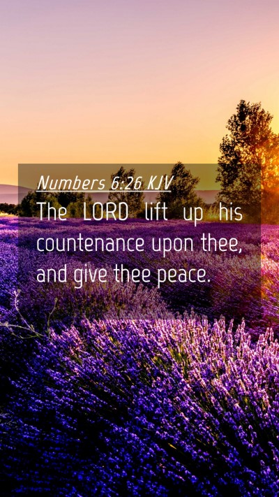 Picture 04 - Numbers 6:26 KJV Mobile Phone Wallpaper - The LORD lift up his countenance upon thee, and - Mobile Bible Verse Wallpaper
