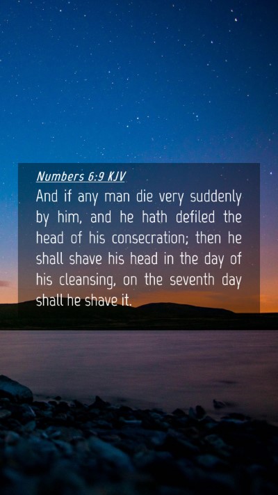 Picture 04 - Numbers 6:9 KJV Mobile Phone Wallpaper - And if any man die very suddenly by him, and he - Mobile Bible Verse Wallpaper