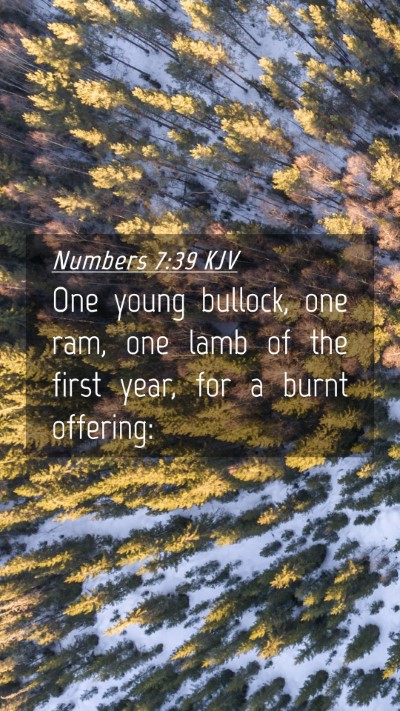 Picture 04 - Numbers 7:39 KJV Mobile Phone Wallpaper - One young bullock, one ram, one lamb of the first - Mobile Bible Verse Wallpaper