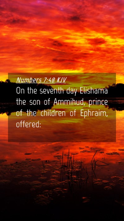 Picture 04 - Numbers 7:48 KJV Mobile Phone Wallpaper - On the seventh day Elishama the son of Ammihud, - Mobile Bible Verse Wallpaper