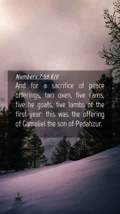 Picture 04 - Numbers 7:59 KJV Mobile Phone Wallpaper - And for a sacrifice of peace offerings, two oxen, - Mobile Bible Verse Wallpaper