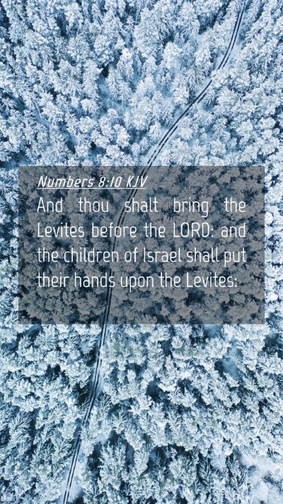 Picture 04 - Numbers 8:10 KJV Mobile Phone Wallpaper - And thou shalt bring the Levites before the LORD: - Mobile Bible Verse Wallpaper