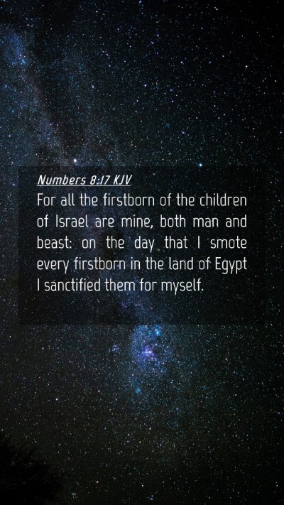 Picture 04 - Numbers 8:17 KJV Mobile Phone Wallpaper - For all the firstborn of the children of Israel - Mobile Bible Verse Wallpaper