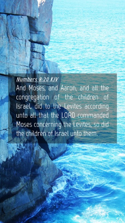 Picture 04 - Numbers 8:20 KJV Mobile Phone Wallpaper - And Moses, and Aaron, and all the congregation of - Mobile Bible Verse Wallpaper
