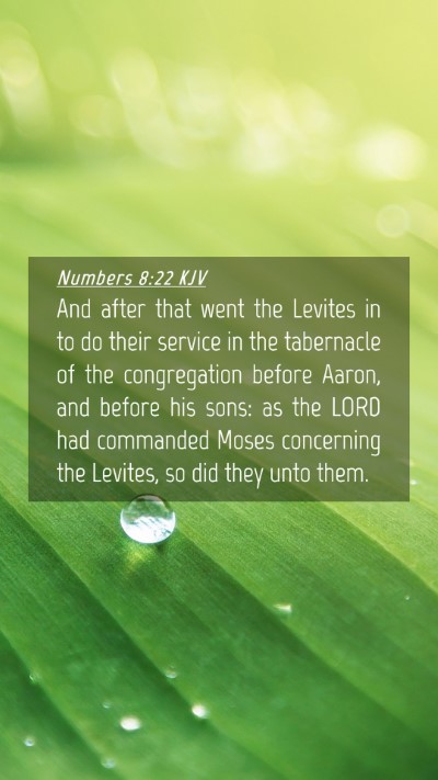 Picture 04 - Numbers 8:22 KJV Mobile Phone Wallpaper - And after that went the Levites in to do their - Mobile Bible Verse Wallpaper