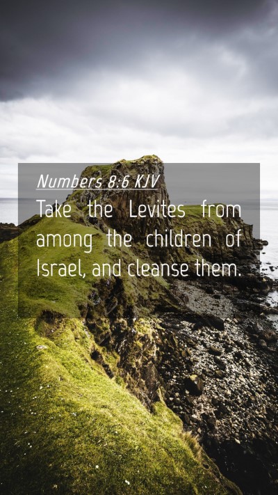 Picture 04 - Numbers 8:6 KJV Mobile Phone Wallpaper - Take the Levites from among the children of - Mobile Bible Verse Wallpaper