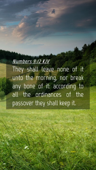 Picture 04 - Numbers 9:12 KJV Mobile Phone Wallpaper - They shall leave none of it unto the morning, nor - Mobile Bible Verse Wallpaper