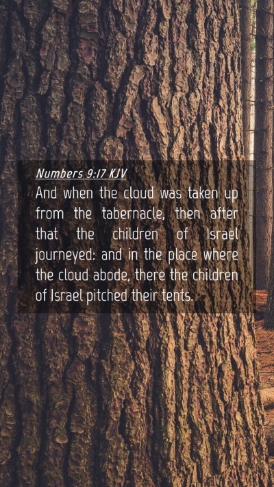 Picture 04 - Numbers 9:17 KJV Mobile Phone Wallpaper - And when the cloud was taken up from the - Mobile Bible Verse Wallpaper