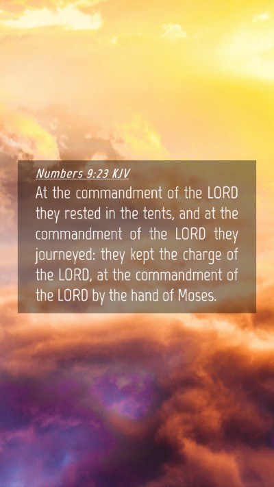 Picture 04 - Numbers 9:23 KJV Mobile Phone Wallpaper - At the commandment of the LORD they rested in the - Mobile Bible Verse Wallpaper