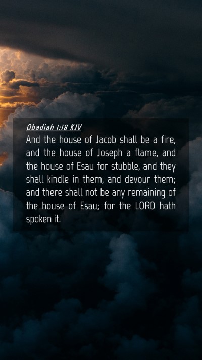 Picture 04 - Obadiah 1:18 KJV Mobile Phone Wallpaper - And the house of Jacob shall be a fire, and the - Mobile Bible Verse Wallpaper