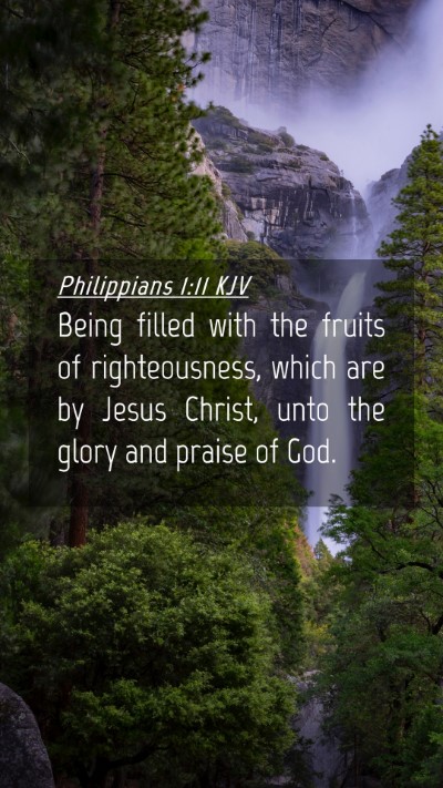 Picture 04 - Philippians 1:11 KJV Mobile Phone Wallpaper - Being filled with the fruits of righteousness, - Mobile Bible Verse Wallpaper