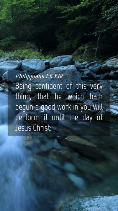 Picture 04 - Philippians 1:6 KJV Mobile Phone Wallpaper - Being confident of this very thing, that he which - Mobile Bible Verse Wallpaper