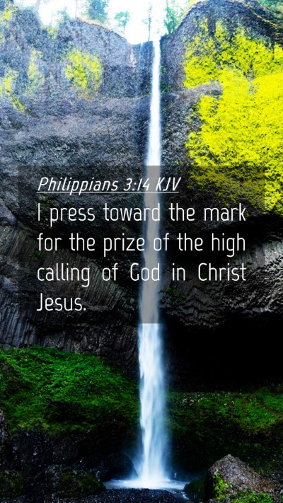 Picture 04 - Philippians 3:14 KJV Mobile Phone Wallpaper - I press toward the mark for the prize of the high - Mobile Bible Verse Wallpaper