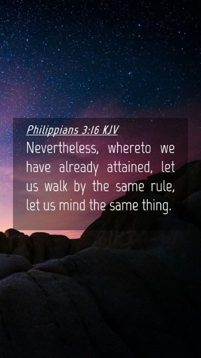 Picture 04 - Philippians 3:16 KJV Mobile Phone Wallpaper - Nevertheless, whereto we have already attained, - Mobile Bible Verse Wallpaper