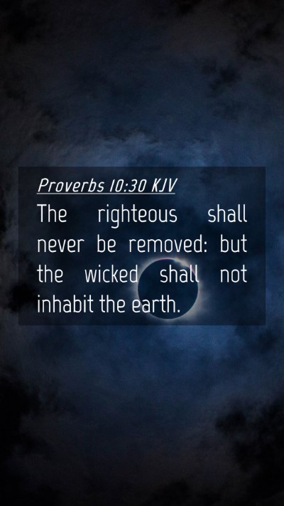 Picture 04 - Proverbs 10:30 KJV Mobile Phone Wallpaper - The righteous shall never be removed: but the - Mobile Bible Verse Wallpaper
