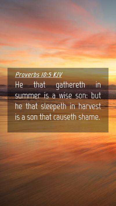 Picture 04 - Proverbs 10:5 KJV Mobile Phone Wallpaper - He that gathereth in summer is a wise son: but he - Mobile Bible Verse Wallpaper