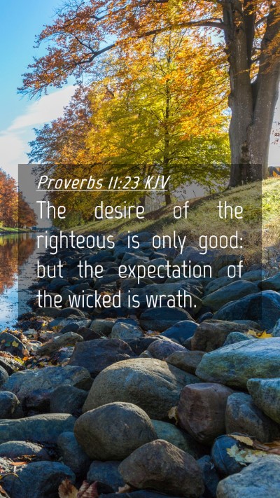 Picture 04 - Proverbs 11:23 KJV Mobile Phone Wallpaper - The desire of the righteous is only good: but the - Mobile Bible Verse Wallpaper