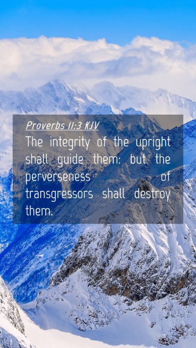 Picture 04 - Proverbs 11:3 KJV Mobile Phone Wallpaper - The integrity of the upright shall guide them: - Mobile Bible Verse Wallpaper