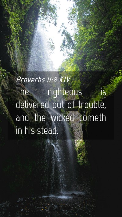 Picture 04 - Proverbs 11:8 KJV Mobile Phone Wallpaper - The righteous is delivered out of trouble, and - Mobile Bible Verse Wallpaper