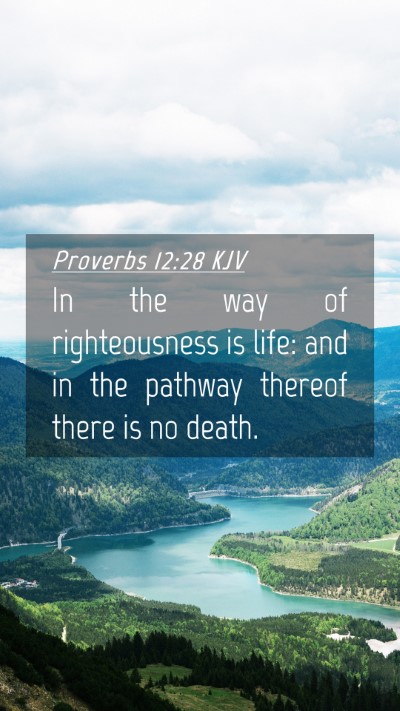 Picture 04 - Proverbs 12:28 KJV Mobile Phone Wallpaper - In the way of righteousness is life: and in the - Mobile Bible Verse Wallpaper