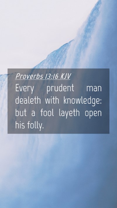 Picture 04 - Proverbs 13:16 KJV Mobile Phone Wallpaper - Every prudent man dealeth with knowledge: but a - Mobile Bible Verse Wallpaper