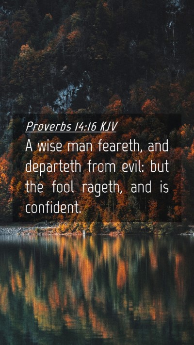 Picture 04 - Proverbs 14:16 KJV Mobile Phone Wallpaper - A wise man feareth, and departeth from evil: but - Mobile Bible Verse Wallpaper