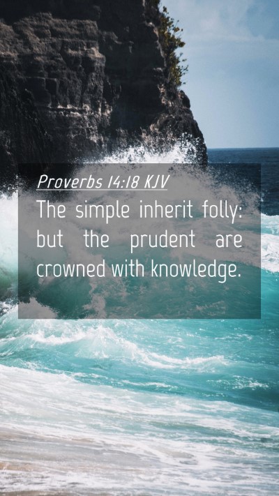 Picture 04 - Proverbs 14:18 KJV Mobile Phone Wallpaper - The simple inherit folly: but the prudent are - Mobile Bible Verse Wallpaper