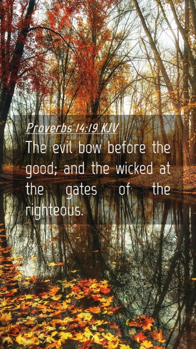 Picture 04 - Proverbs 14:19 KJV Mobile Phone Wallpaper - The evil bow before the good; and the wicked at - Mobile Bible Verse Wallpaper