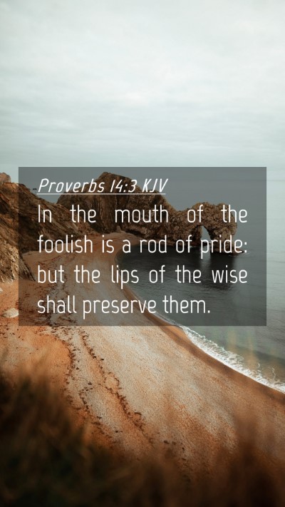 Picture 04 - Proverbs 14:3 KJV Mobile Phone Wallpaper - In the mouth of the foolish is a rod of pride: - Mobile Bible Verse Wallpaper