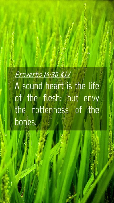 Picture 04 - Proverbs 14:30 KJV Mobile Phone Wallpaper - A sound heart is the life of the flesh: but envy - Mobile Bible Verse Wallpaper