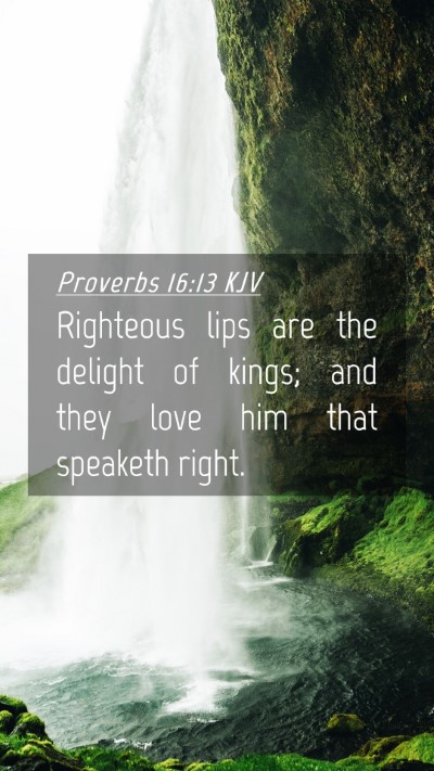 Picture 04 - Proverbs 16:13 KJV Mobile Phone Wallpaper - Righteous lips are the delight of kings; and they - Mobile Bible Verse Wallpaper