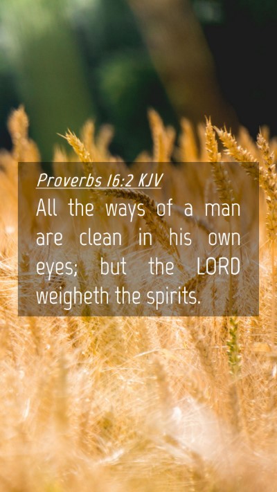 Picture 04 - Proverbs 16:2 KJV Mobile Phone Wallpaper - All the ways of a man are clean in his own eyes; - Mobile Bible Verse Wallpaper