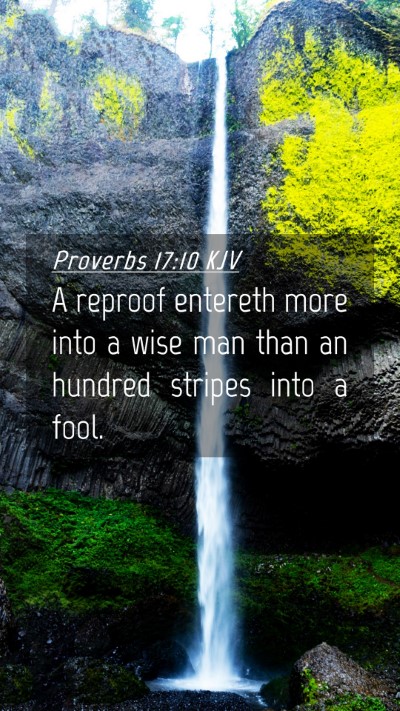 Picture 04 - Proverbs 17:10 KJV Mobile Phone Wallpaper - A reproof entereth more into a wise man than an - Mobile Bible Verse Wallpaper