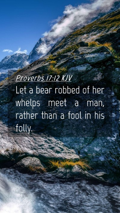 Picture 04 - Proverbs 17:12 KJV Mobile Phone Wallpaper - Let a bear robbed of her whelps meet a man, - Mobile Bible Verse Wallpaper