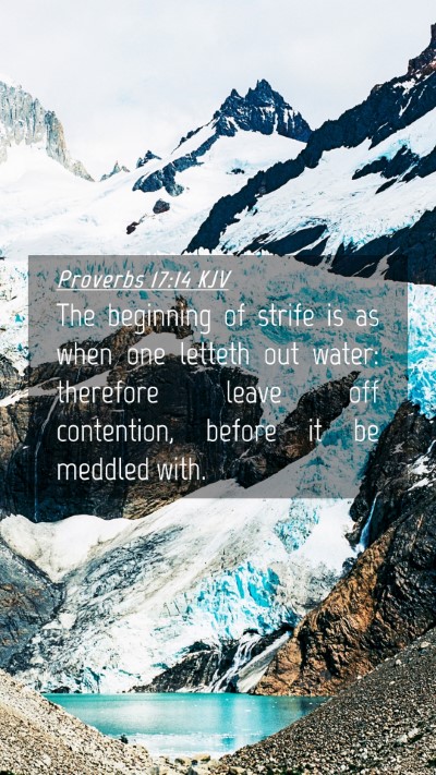 Picture 04 - Proverbs 17:14 KJV Mobile Phone Wallpaper - The beginning of strife is as when one letteth - Mobile Bible Verse Wallpaper