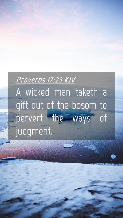 Picture 04 - Proverbs 17:23 KJV Mobile Phone Wallpaper - A wicked man taketh a gift out of the bosom to - Mobile Bible Verse Wallpaper