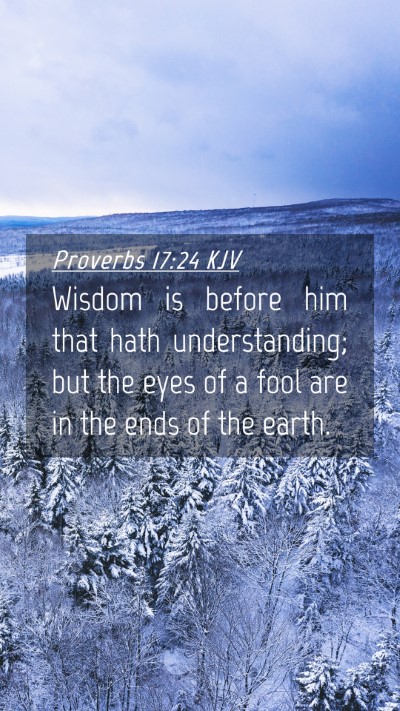 Picture 04 - Proverbs 17:24 KJV Mobile Phone Wallpaper - Wisdom is before him that hath understanding; but - Mobile Bible Verse Wallpaper