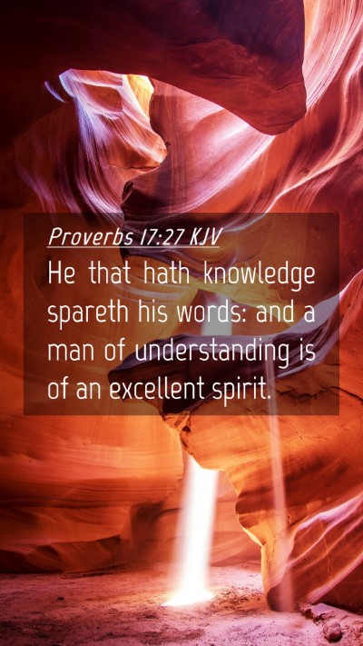 Picture 04 - Proverbs 17:27 KJV Mobile Phone Wallpaper - He that hath knowledge spareth his words: and a - Mobile Bible Verse Wallpaper