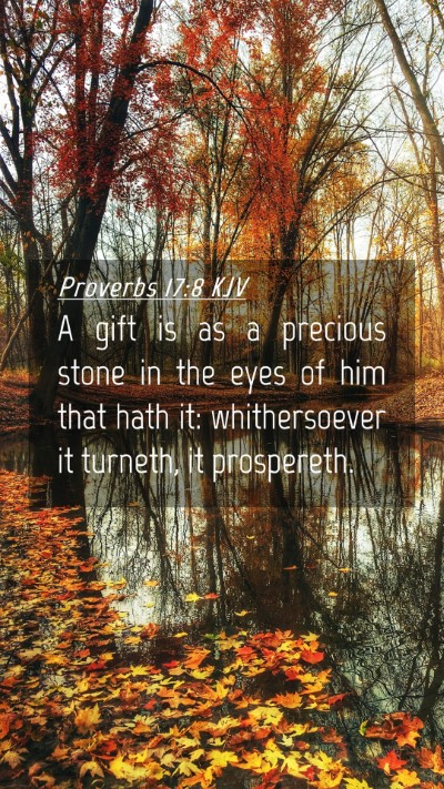 Picture 04 - Proverbs 17:8 KJV Mobile Phone Wallpaper - A gift is as a precious stone in the eyes of him - Mobile Bible Verse Wallpaper