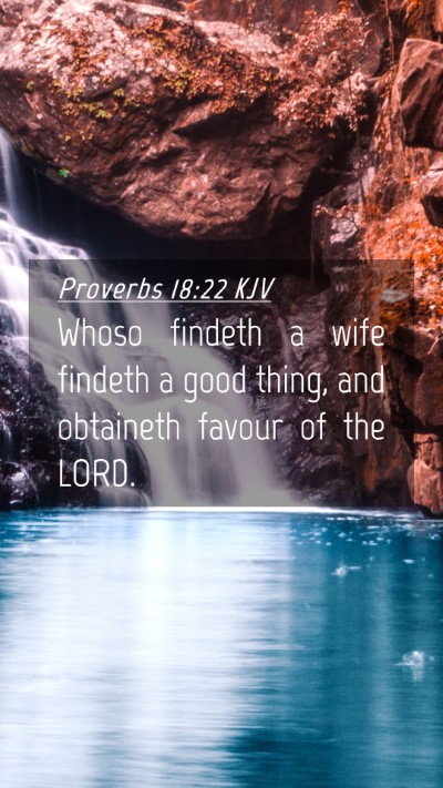 Picture 04 - Proverbs 18:22 KJV Mobile Phone Wallpaper - Whoso findeth a wife findeth a good thing, and - Mobile Bible Verse Wallpaper