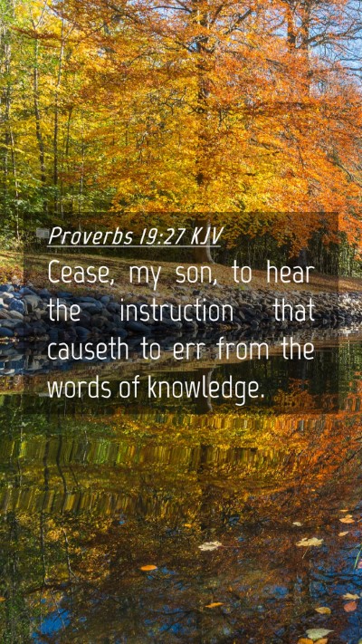 Picture 04 - Proverbs 19:27 KJV Mobile Phone Wallpaper - Cease, my son, to hear the instruction that - Mobile Bible Verse Wallpaper