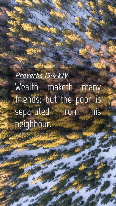 Picture 04 - Proverbs 19:4 KJV Mobile Phone Wallpaper - Wealth maketh many friends; but the poor is - Mobile Bible Verse Wallpaper