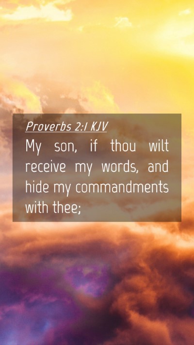 Picture 04 - Proverbs 2:1 KJV Mobile Phone Wallpaper - My son, if thou wilt receive my words, and hide - Mobile Bible Verse Wallpaper