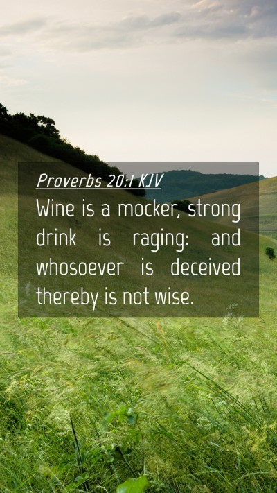 Picture 04 - Proverbs 20:1 KJV Mobile Phone Wallpaper - Wine is a mocker, strong drink is raging: and - Mobile Bible Verse Wallpaper