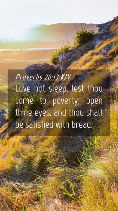 Picture 04 - Proverbs 20:13 KJV Mobile Phone Wallpaper - Love not sleep, lest thou come to poverty; open - Mobile Bible Verse Wallpaper