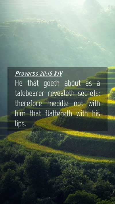 Picture 04 - Proverbs 20:19 KJV Mobile Phone Wallpaper - He that goeth about as a talebearer revealeth - Mobile Bible Verse Wallpaper
