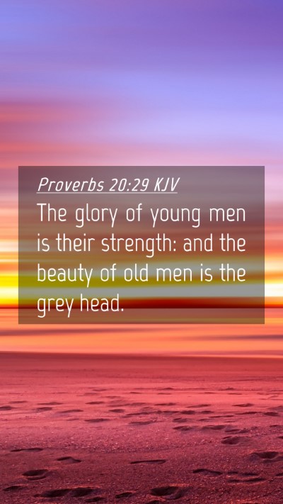 Picture 04 - Proverbs 20:29 KJV Mobile Phone Wallpaper - The glory of young men is their strength: and the - Mobile Bible Verse Wallpaper