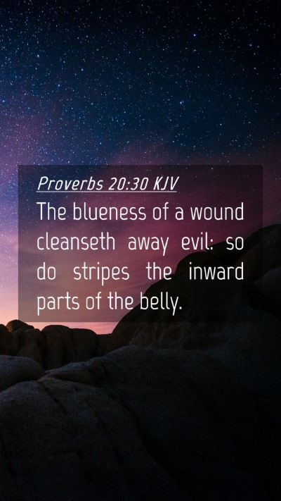 Picture 04 - Proverbs 20:30 KJV Mobile Phone Wallpaper - The blueness of a wound cleanseth away evil: so - Mobile Bible Verse Wallpaper