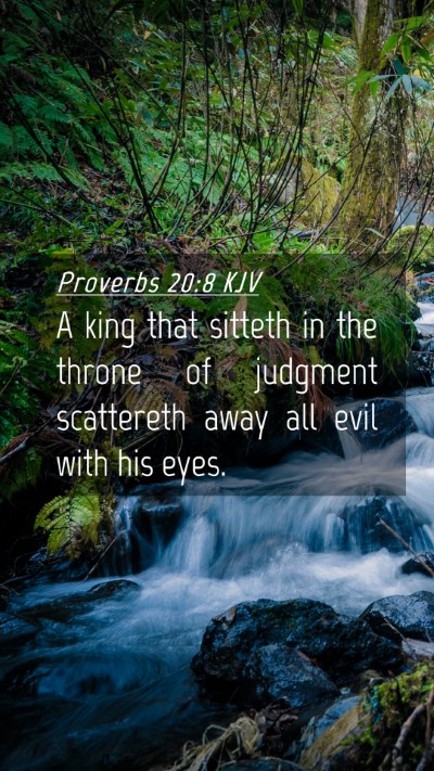 Picture 04 - Proverbs 20:8 KJV Mobile Phone Wallpaper - A king that sitteth in the throne of judgment - Mobile Bible Verse Wallpaper